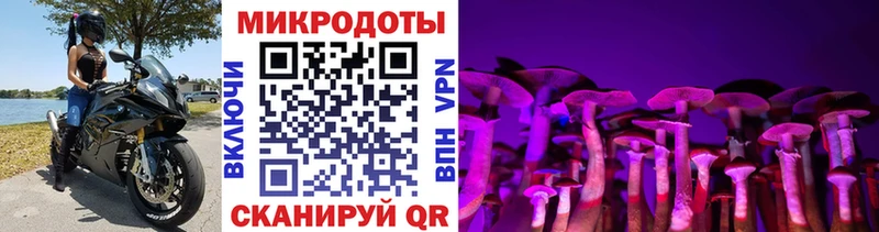 Галлюциногенные грибы прущие грибы  наркотики  Торжок 