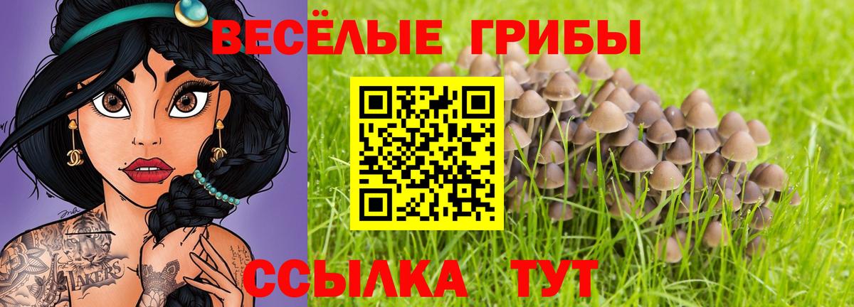 Псилоцибиновые грибы Magic Shrooms Торжок
