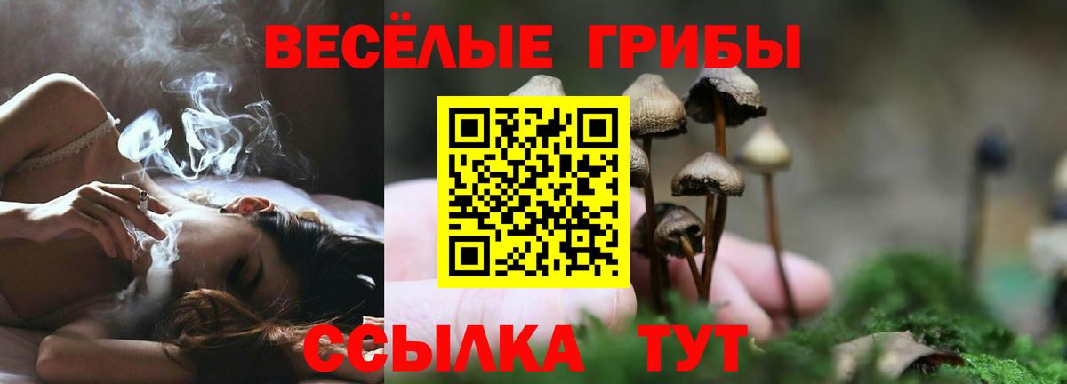 Галлюциногенные грибы Magic Shrooms  наркошоп  Вход с VPN  Торжок  Псилоцибиновые грибы мухоморы 